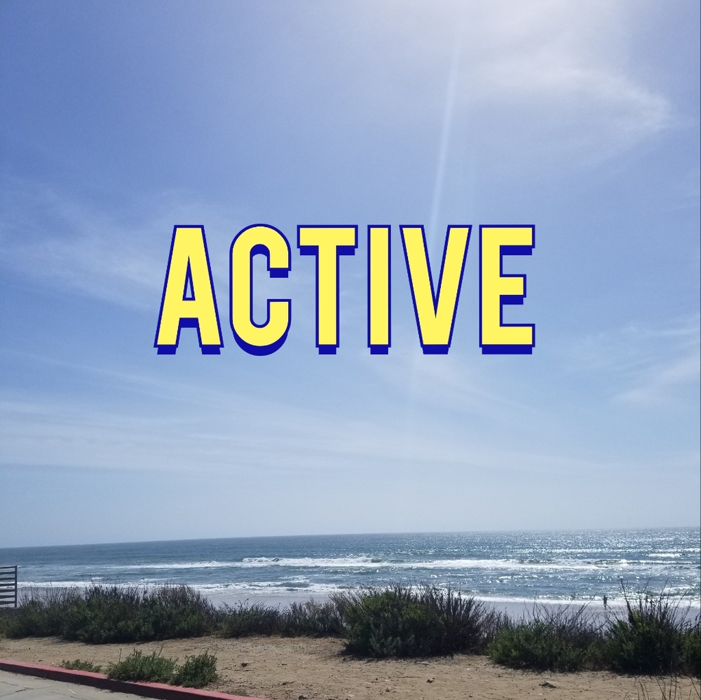 Active wear section